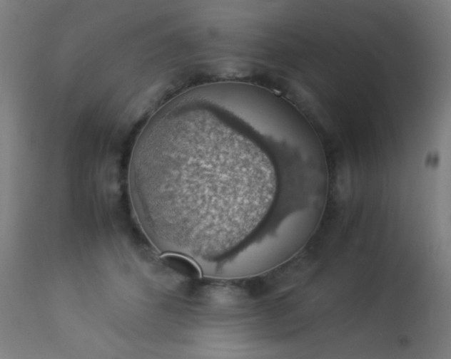 X0000114170512200910221654