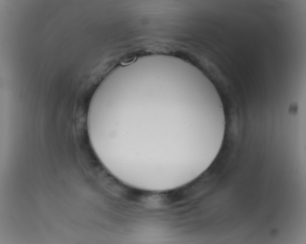 X0000114170513200910221654