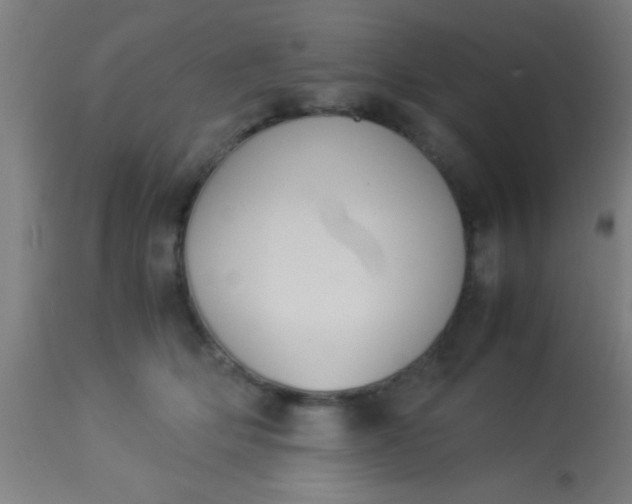 X0000114170514200910221654