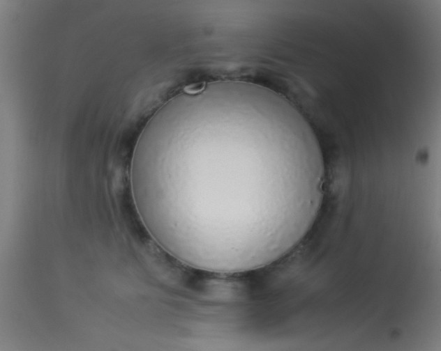 X0000114170515200910221654