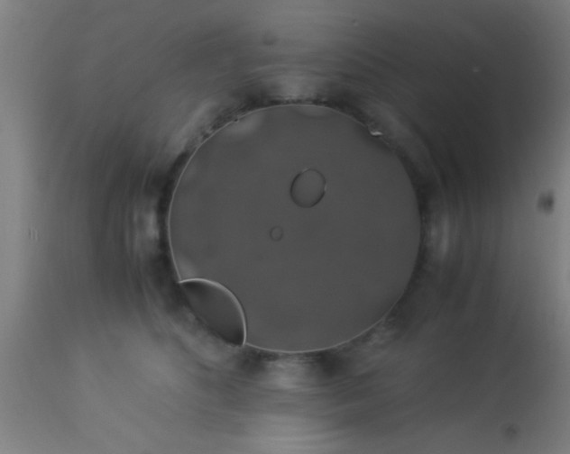 X0000114170516200910221654