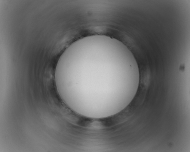 X0000114170518200910221654