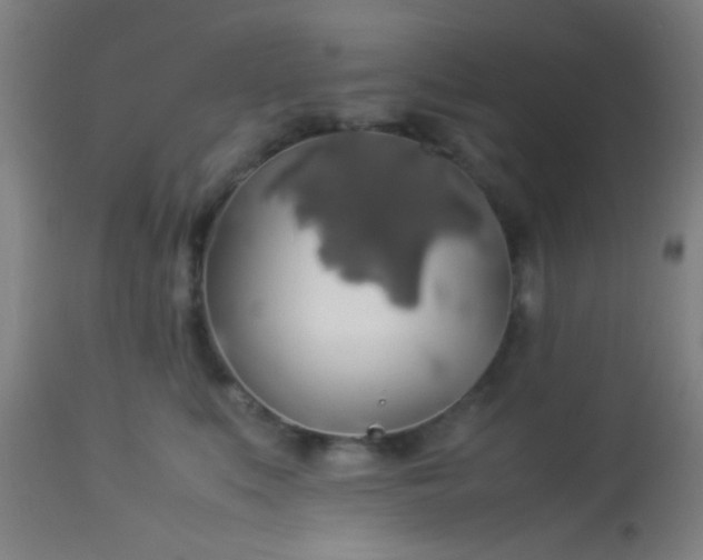 X0000114170519200910221654