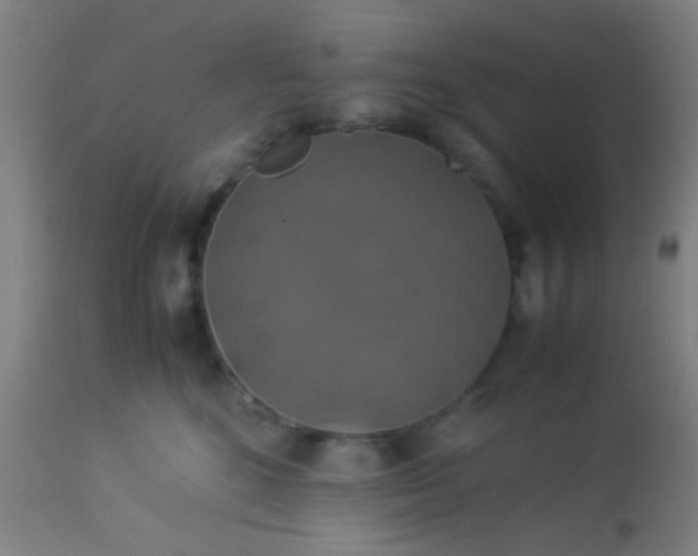 X0000114170520200910221654