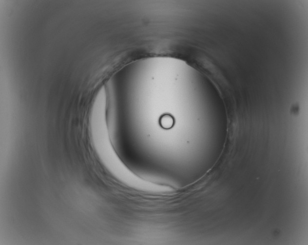 X0000114170521200910221654