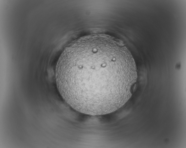 X0000114170523200910221654