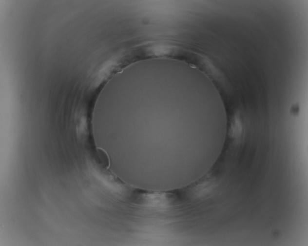 X0000114170524200910221654