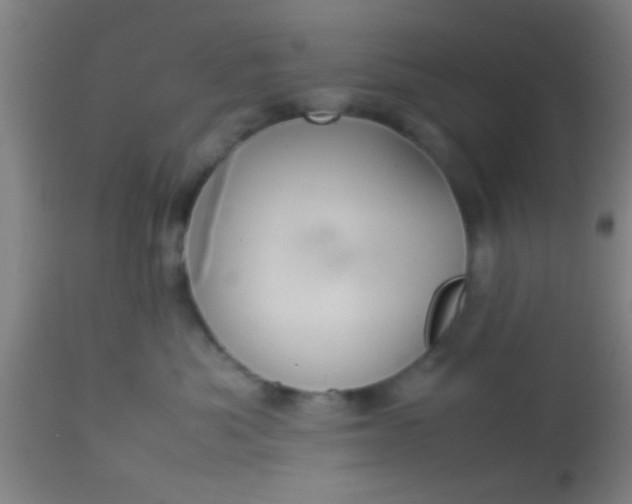 X0000114170525200910221654