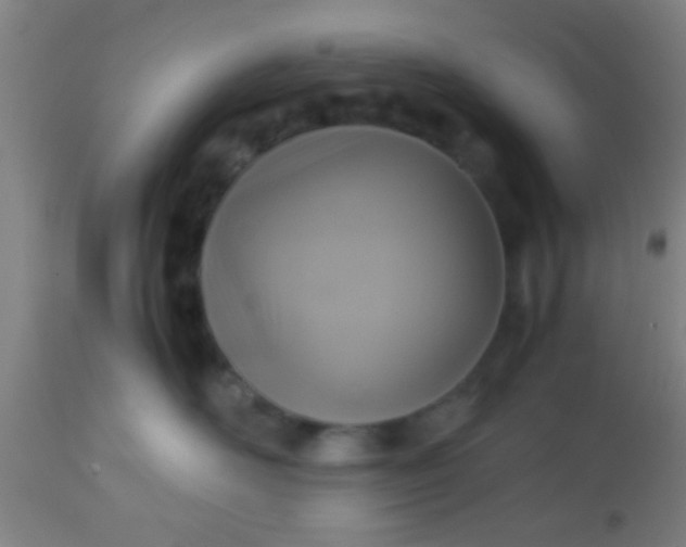 X0000114170526200910221654