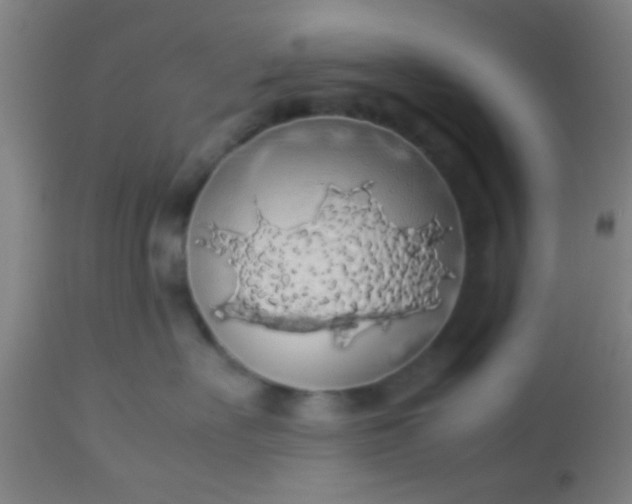 X0000114170527200910221654