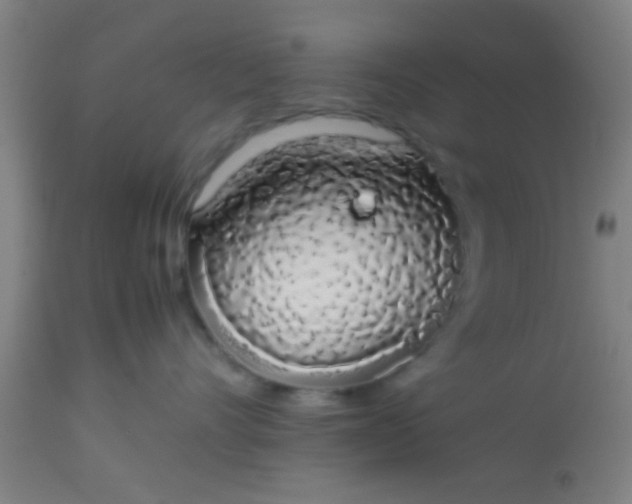 X0000114170528200910221654