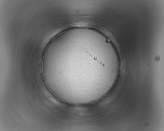 X0000114170529200910221653