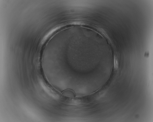 X0000114170531200910221653