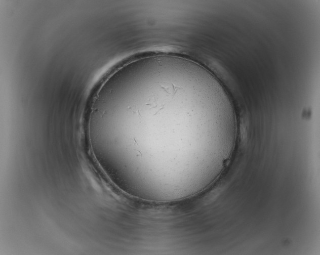 X0000114170532200910221653