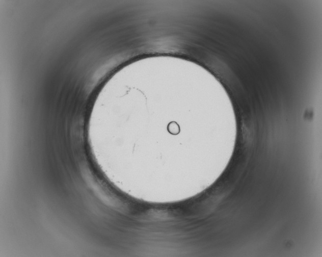 X0000114170534200910221653