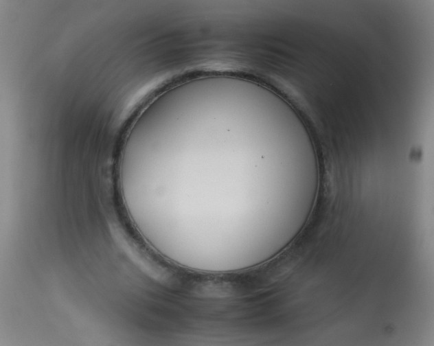 X0000114170535200910221653