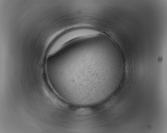 X0000114170536200910221653