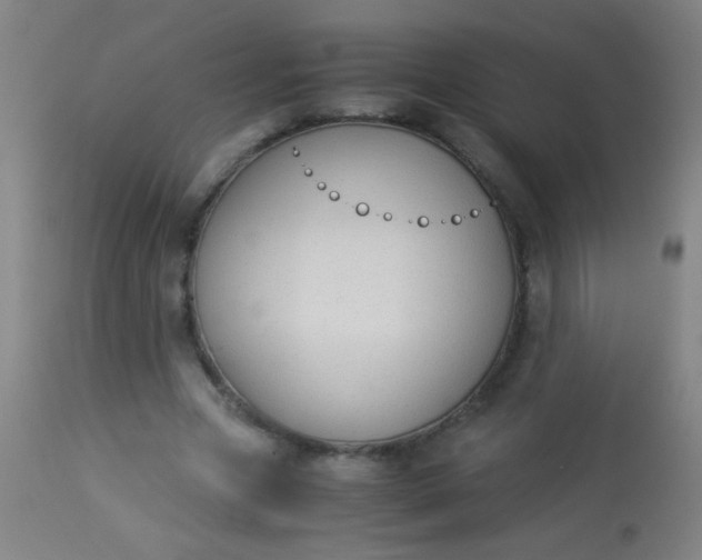 X0000114170537200910221653