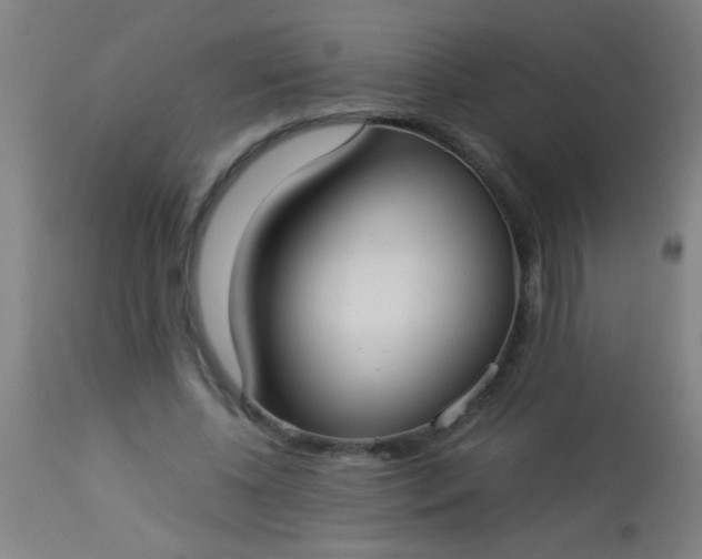 X0000114170540200910221653