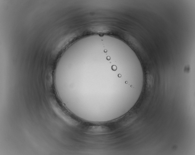 X0000114170541200910221653