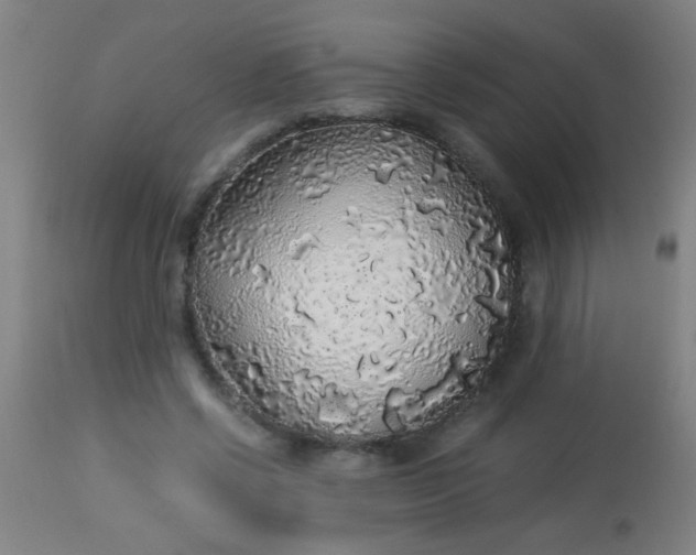 X0000114170542200910221653