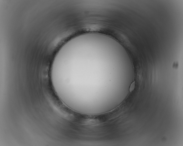 X0000114170543200910221653