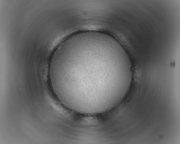 X0000114170544200910221653