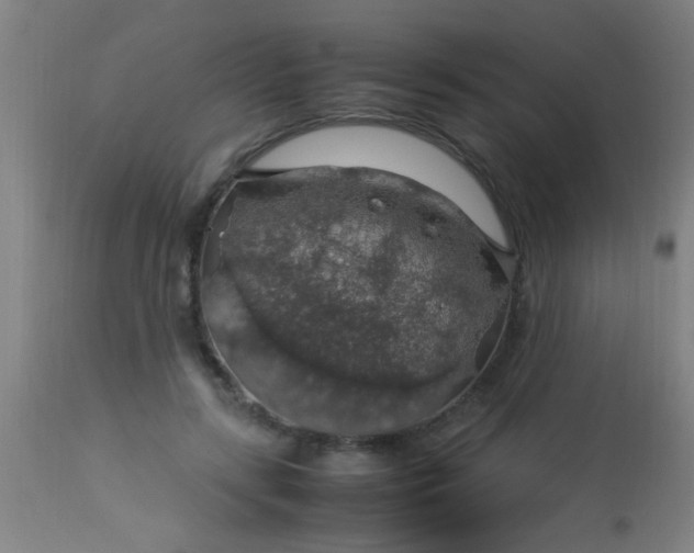 X0000114170547200910221653