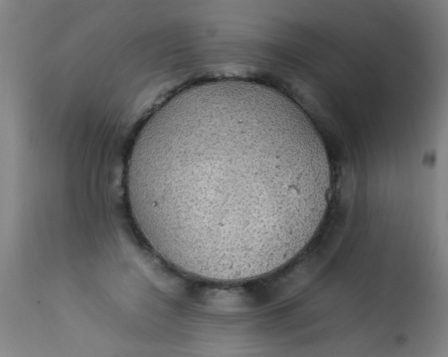 X0000114170548200910221653