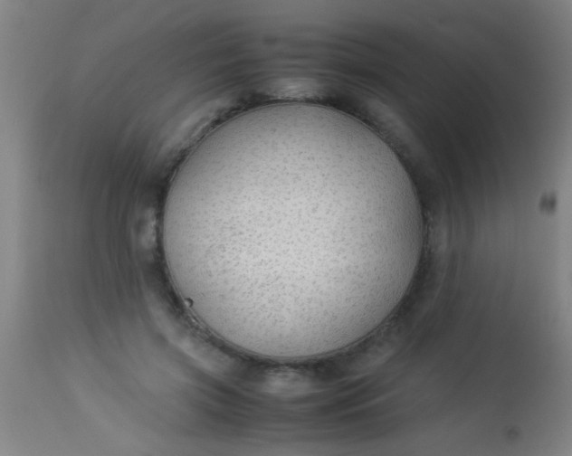 X0000114170549200910221653