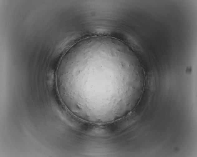 X0000114170550200910221653