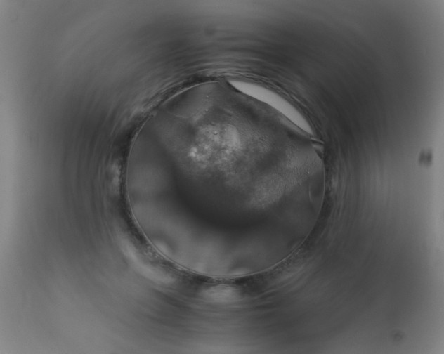 X0000114170551200910221653