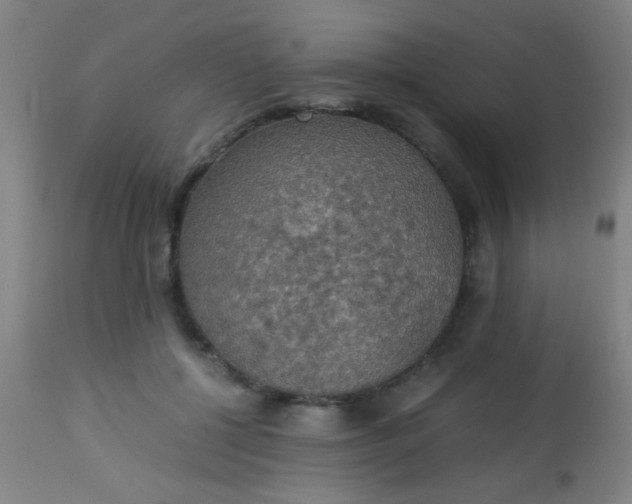 X0000114170552200910221653