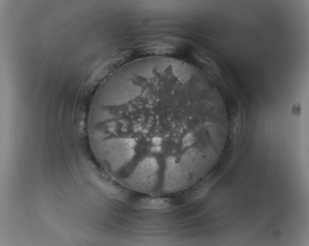 X0000114170553200910221653