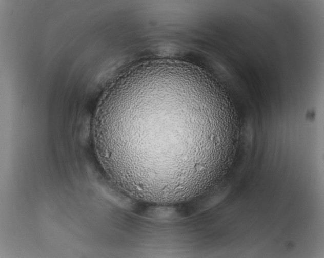 X0000114170554200910221653