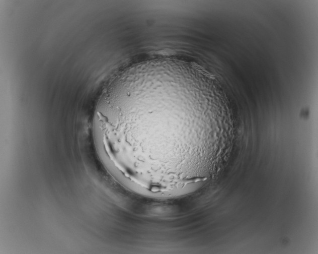 X0000114170555200910221653