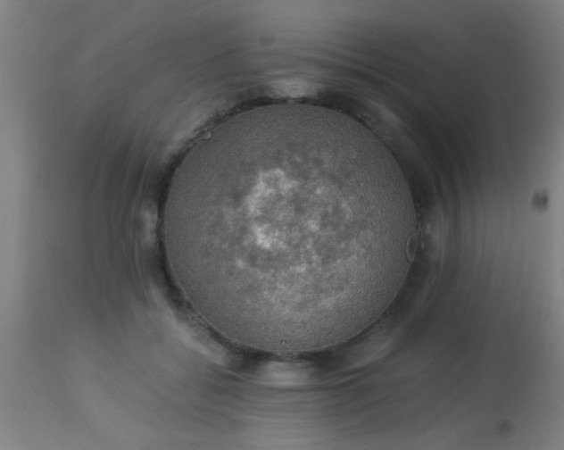 X0000114170556200910221653