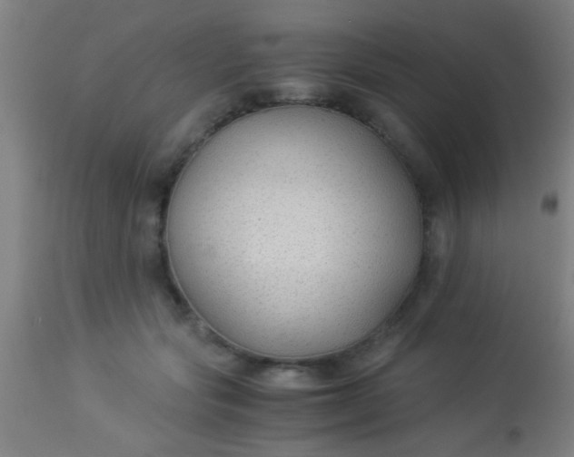 X0000114170557200910221653