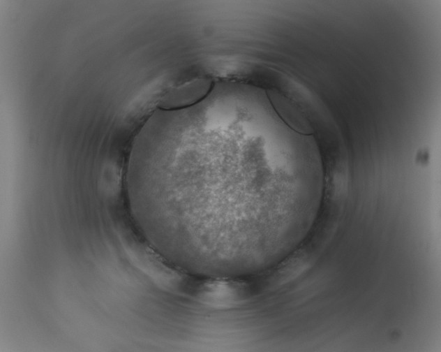 X0000114170558200910221653