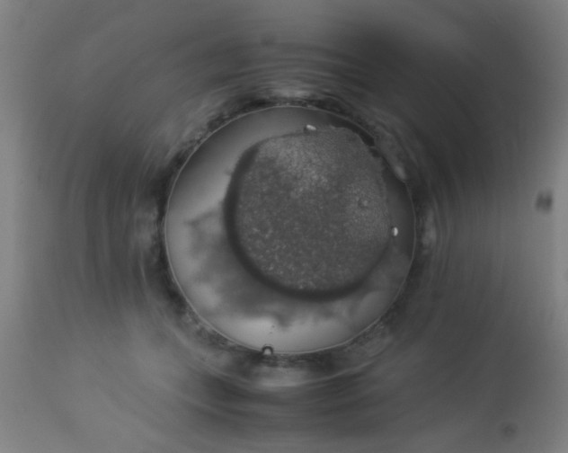 X0000114170559200910221653