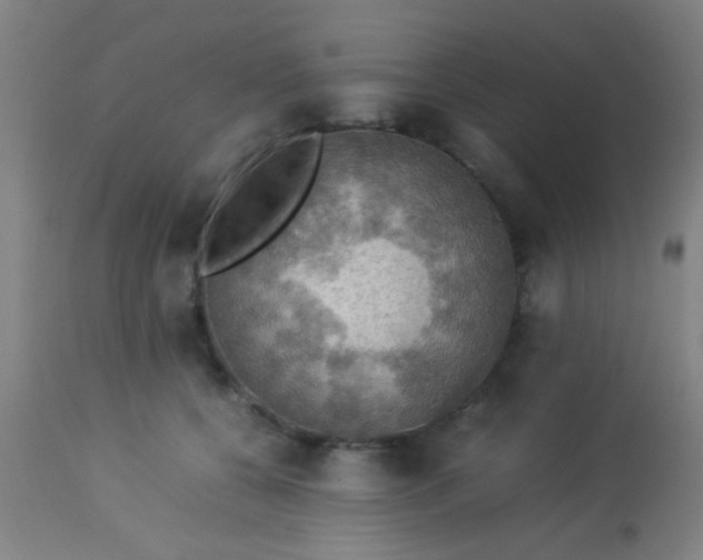 X0000114170560200910221653