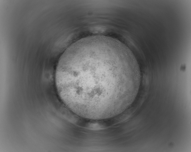 X0000114170561200910221653