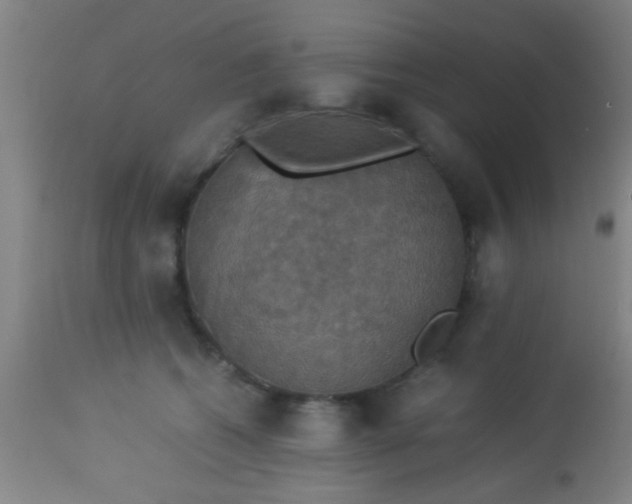 X0000114170562200910221653