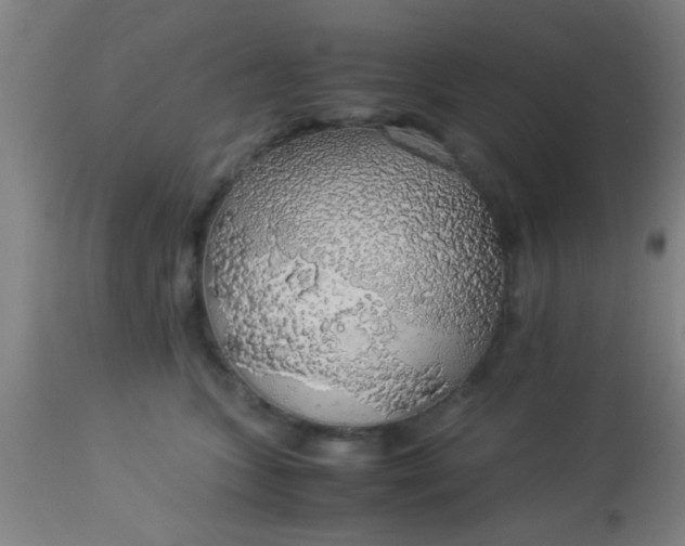 X0000114170563200910221653