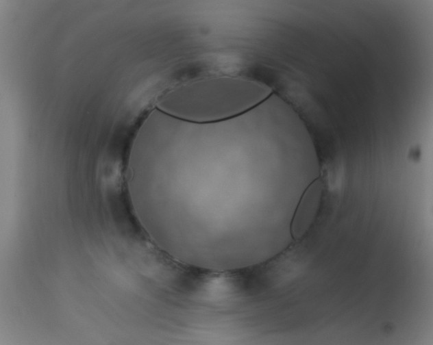 X0000114170564200910221653