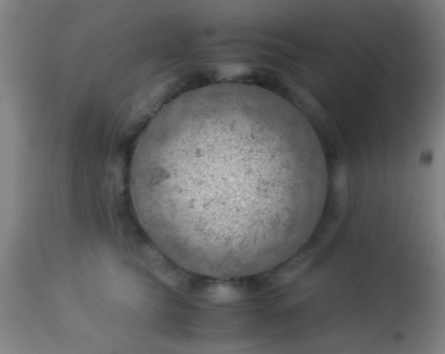 X0000114170565200910221653