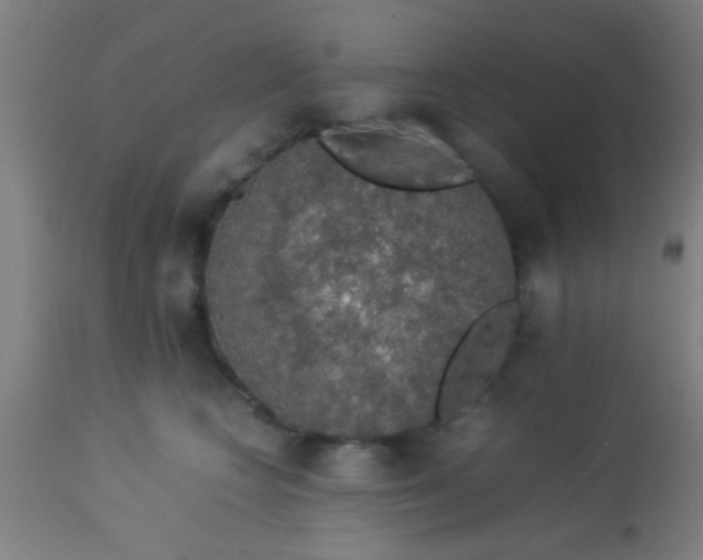 X0000114170566200910221653