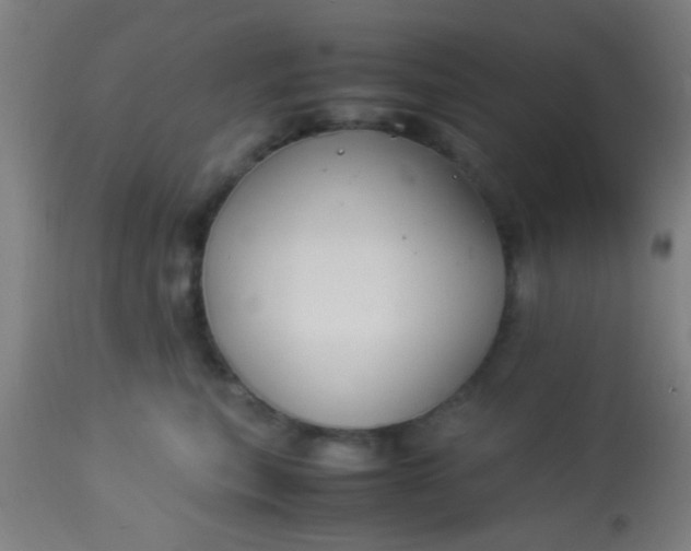 X0000114170567200910221653