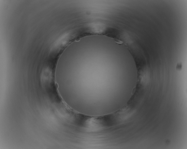 X0000114170568200910221653