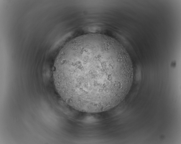 X0000114170569200910221653